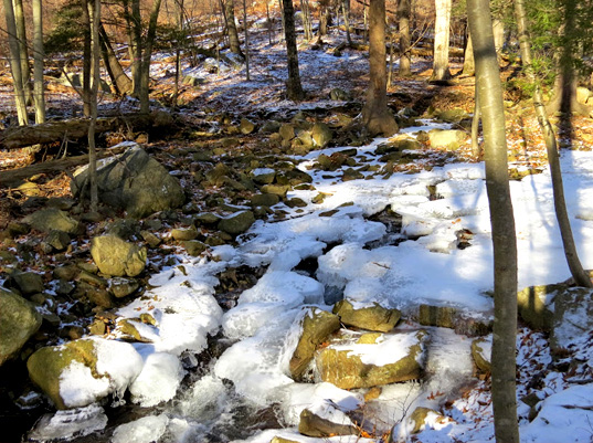 Torne Brook runs down from Pine Meadow Lake in Harriman State Park, and winds through Torne Valley, skirting areas where paint sludge was buried back in the 1970s. 