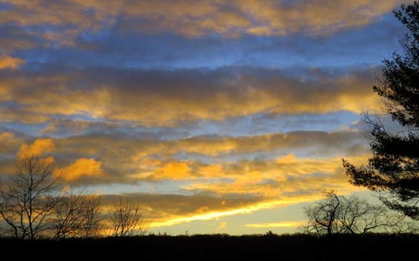 Dawn on Marlin Luther King, Jr. Day lent much-needed sun and color after a dreary Sunday of icy rain. / Photo by Geoff Welch