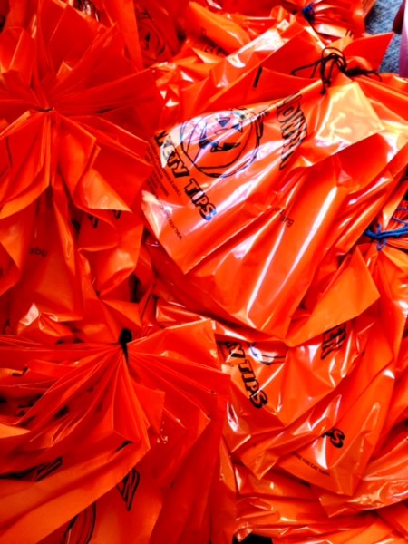 All the goody bags are stuffed and ready for those young Sloatsburg students participating in the Saturday, October 24, morning pumpkin decorating contest.