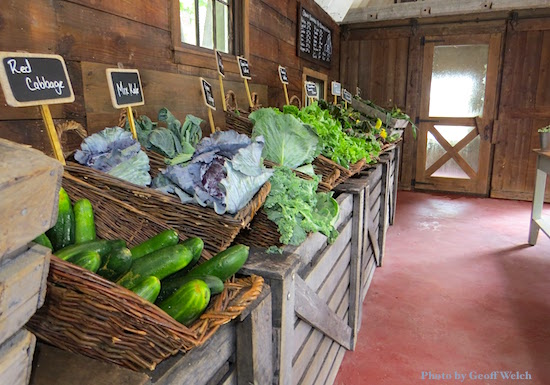 The Tuxedo Hudson Company opened the Blue Barn Farm Stand in Sloatsburg, NY, offering organic produce on weekends from 9 a.m. to 2 p.m.