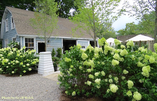 Blue Barn Farm Stand